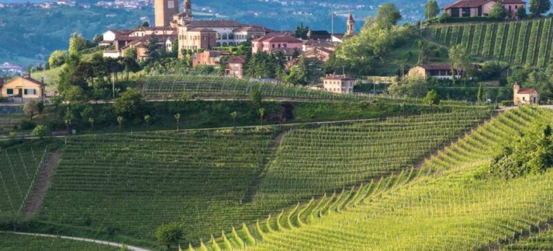 barbaresco-e-bike-tour-of-piedmont-wineries-with-tastings