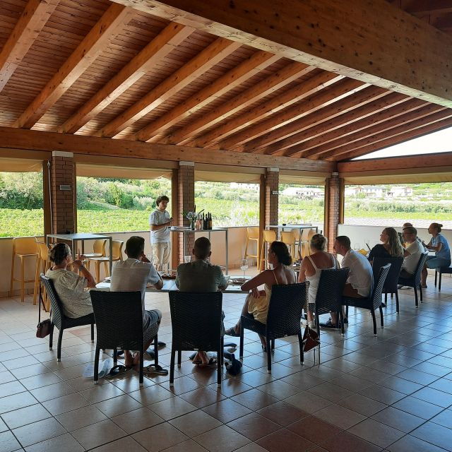 bardolino-vineyard-tour-with-wine-olive-oil-food-tasting