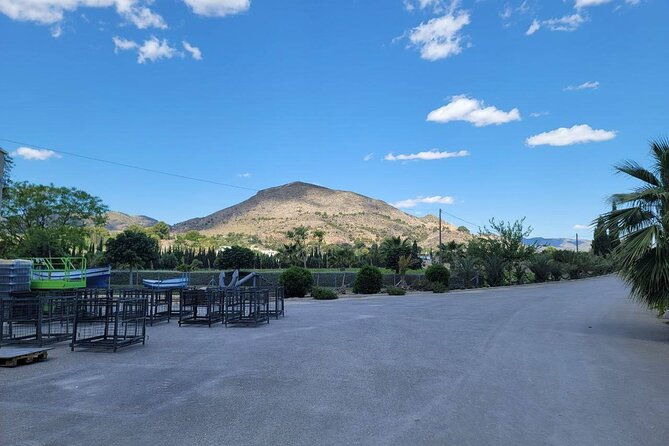 beautiful-winery-in-the-alicante