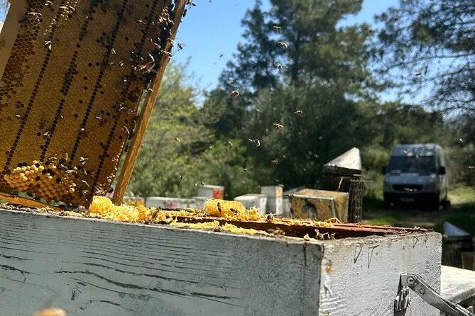 beekeeping-experience-areti-honey