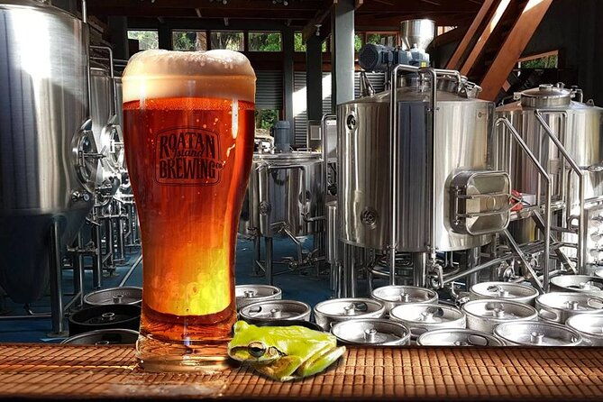 beer-and-food-tasting-experience-at-roatan-island-brewing-company