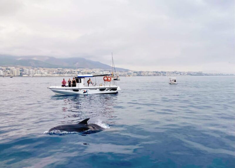 benalmadena-private-boat-trip-with-drinks-snacks