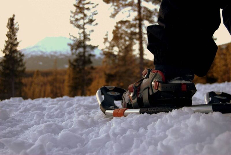 bend-half-day-snowshoe-tour-in-the-cascade-mountain-range