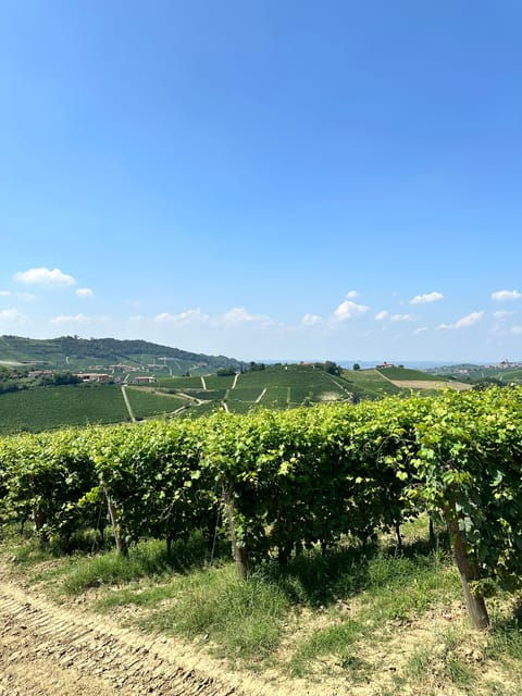 best-of-monforte-dalba-wine-tasting-traditional-meal