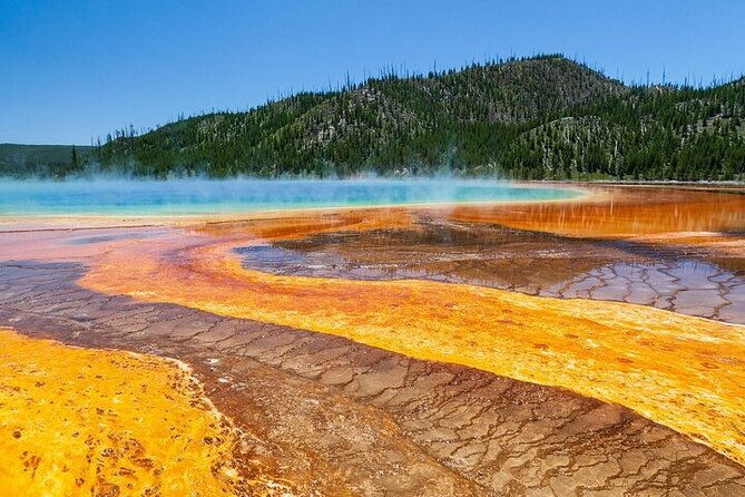 best-of-yellowstone-natl-park-from-w-yellowstone-private-tour