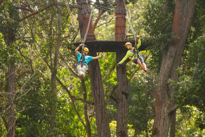 big-island-3-hour-kohala-canopy-zipline-adventure