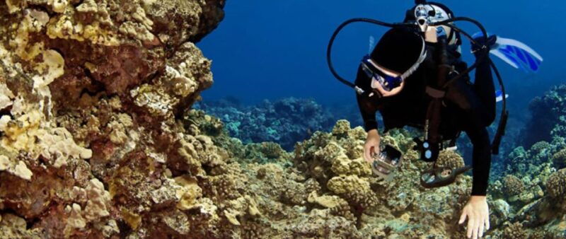 big-island-3-hour-waikoloa-snorkeling-sailing-adventure