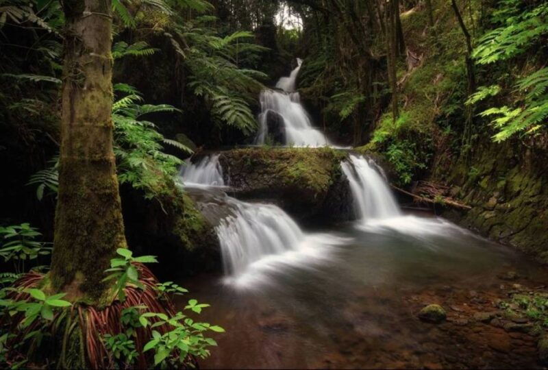 big-island-full-day-sightseeing-waterfalls-adventure-tour