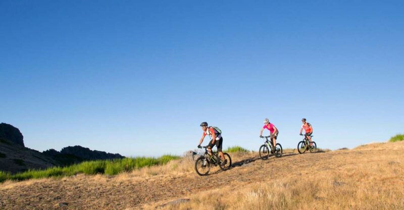 bike-tour-botanical-levels-of-madeira-trail-experience