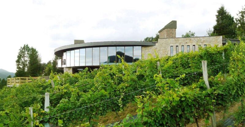 bilbao-organic-winery-visit-with-tasting