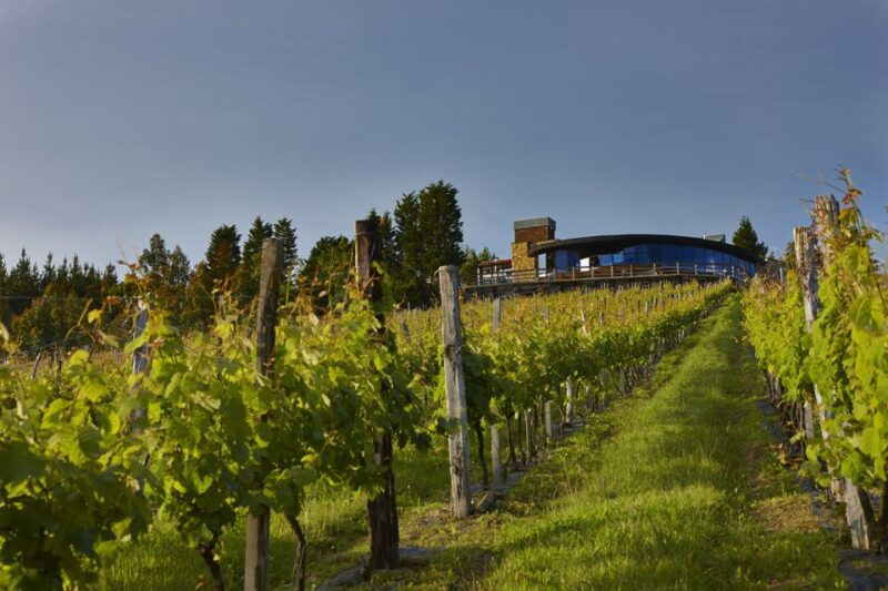 bilbao-txakoli-wine-tour-2