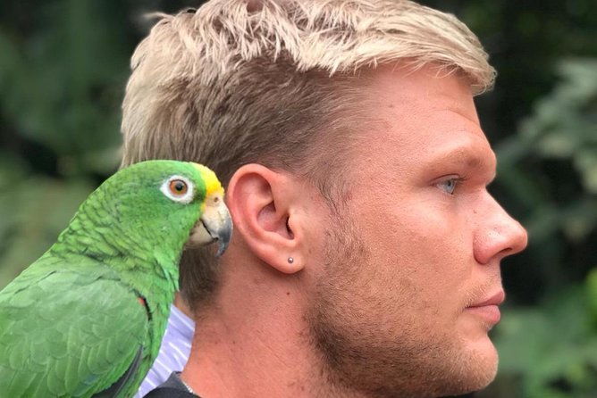 bird-watching-tour-departing-from-bogota-2-days