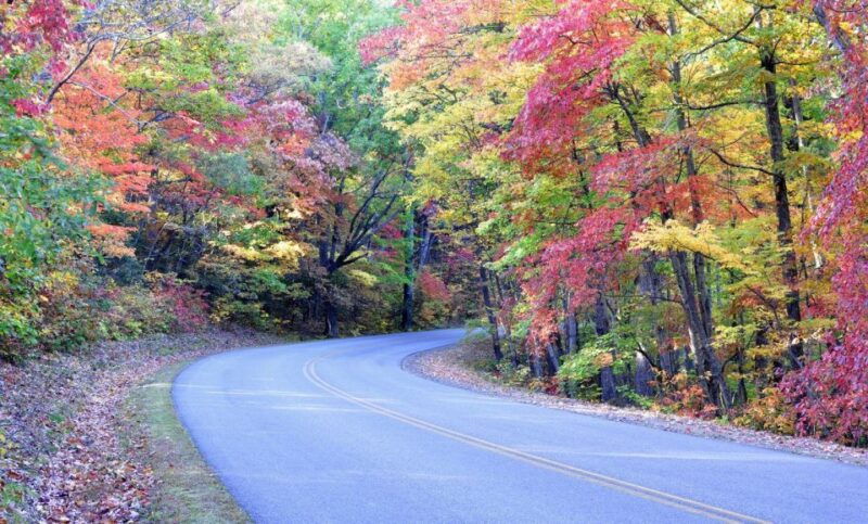 blue-ridge-parkway-waterfalls-hiking-tour-from-asheville-2
