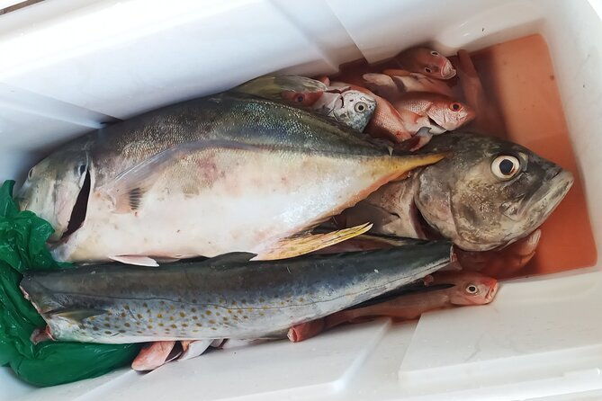 blue-sea-sport-fishing-tours