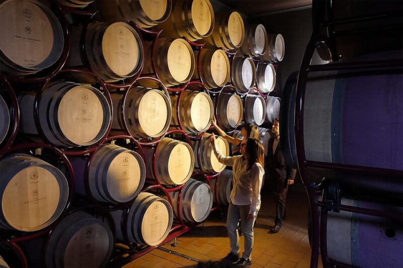 bolgheri-sensorial-wine-tasting-at-famous-winery