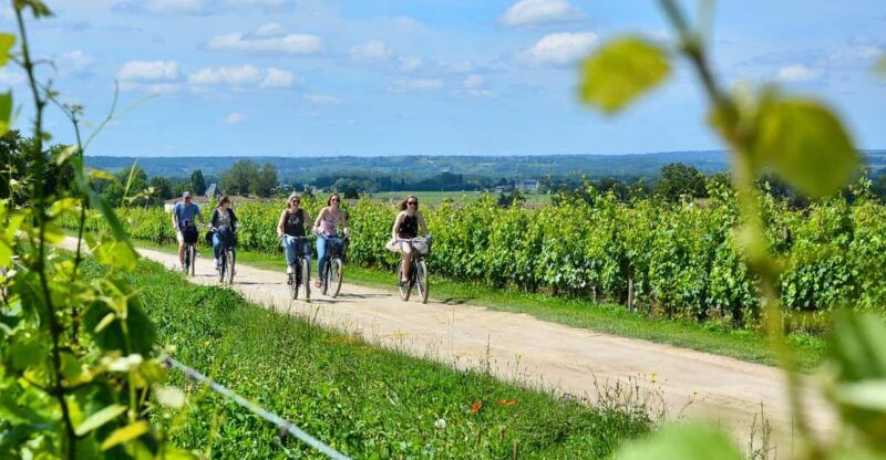 bordeaux-backcountry-e-bike-tour-with-lunch-wine-tasting