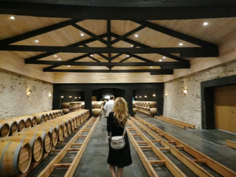 bordeaux-medoc-tour-in-a-small-group-luxury-mercedes-eqv
