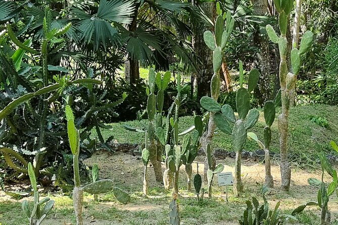 botanical-garden-cartagena-private-tour-with-bilingual-guide