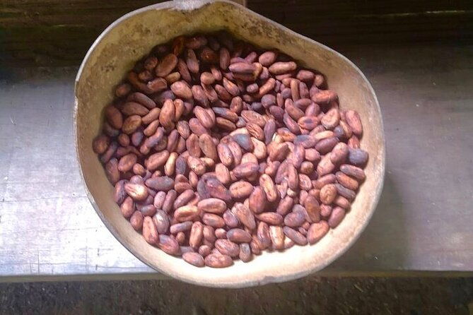 bribri-chocolate-tour-cahuita-national-park-from-san-jose