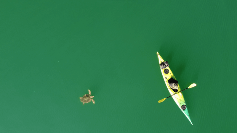 brindisi-kayaking-at-santandrea-island-turtle-watching