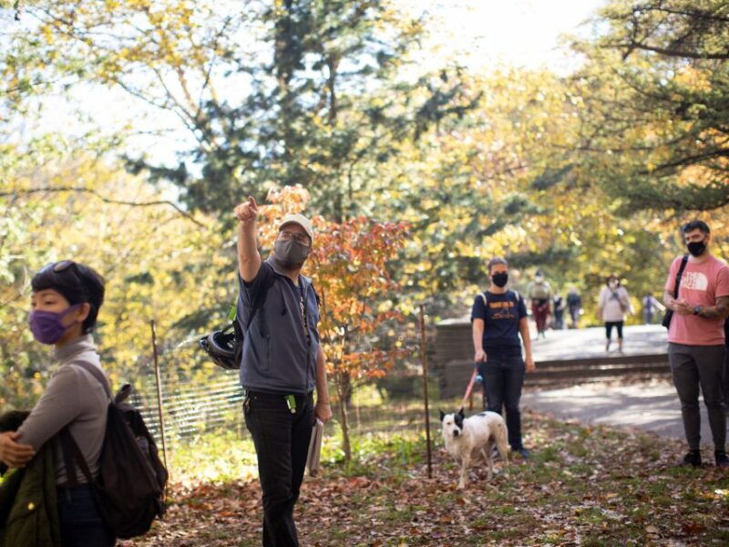brooklyn-2-hour-prospect-park-guided-walking-tour