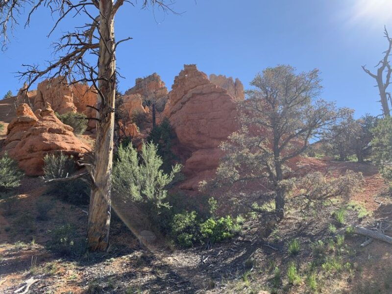 bryce-canyon-city-horseback-riding-tour-in-red-canyon