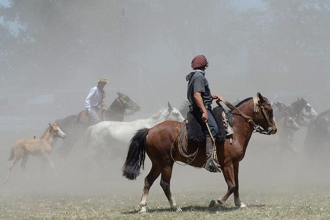 buenos-aires-shore-excursion-gaucho-day-trip-to-santa-susana-ranch