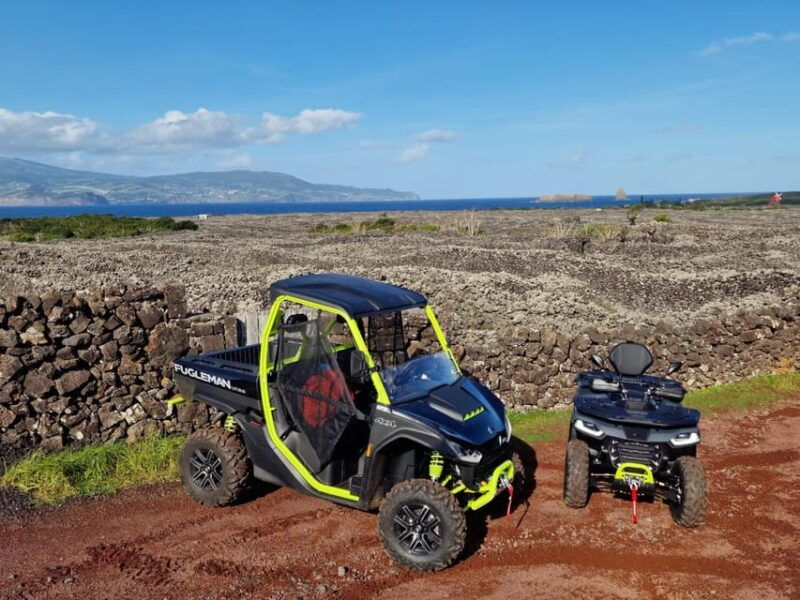 buggy-ride-through-the-vineyards-of-pico-island