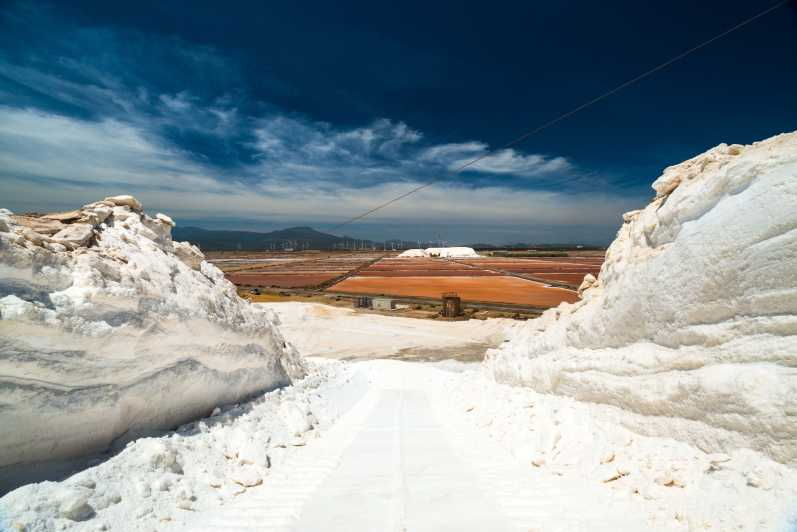 cagliari-conti-vecchi-salt-flats-train-and-tour