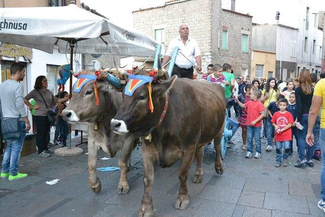 cagliari-discovering-the-heart-of-sardinia