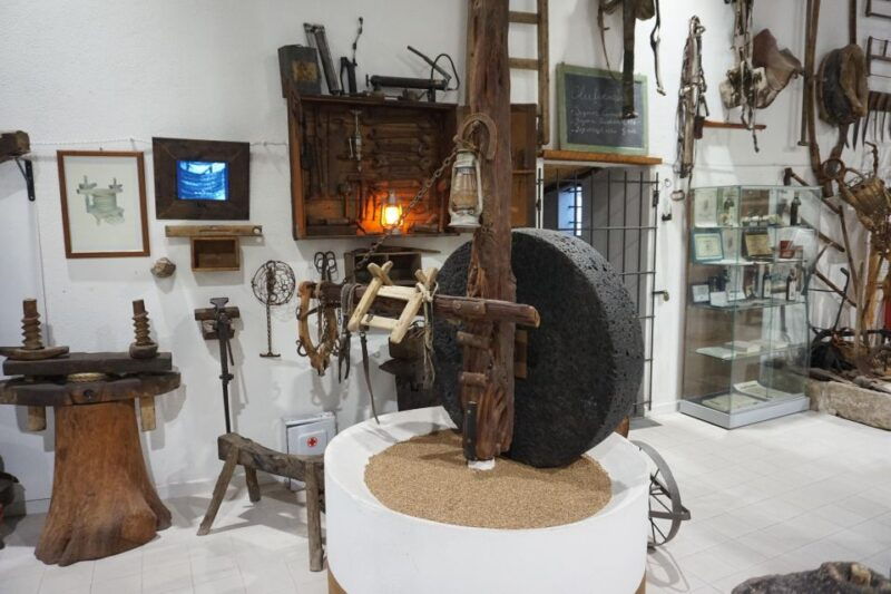 cagliari-exclusive-extra-virgin-olive-oil-tour-at-museum