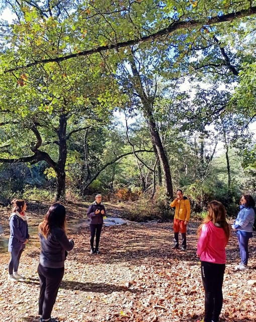 cagliari-forest-bathing-at-sette-fratelli-park