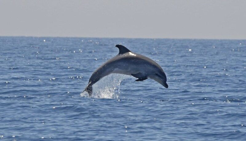 cagliari-shore-excursion-sulcis-boat-experience