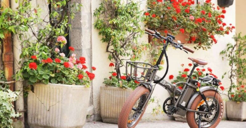cannes-rent-an-e-bike-to-visit-the-city
