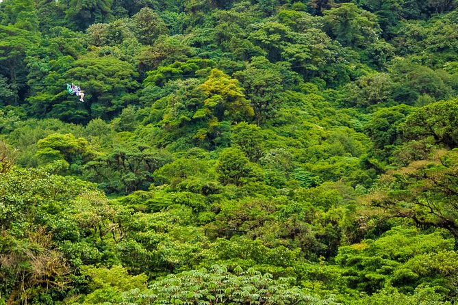 canopy-adventure-from-monteverde