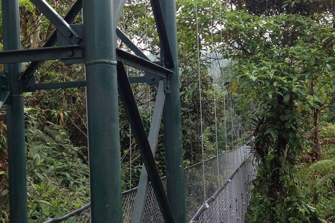 canopy-tour-in-the-fabulous-hanging-bridges-from-san-jose
