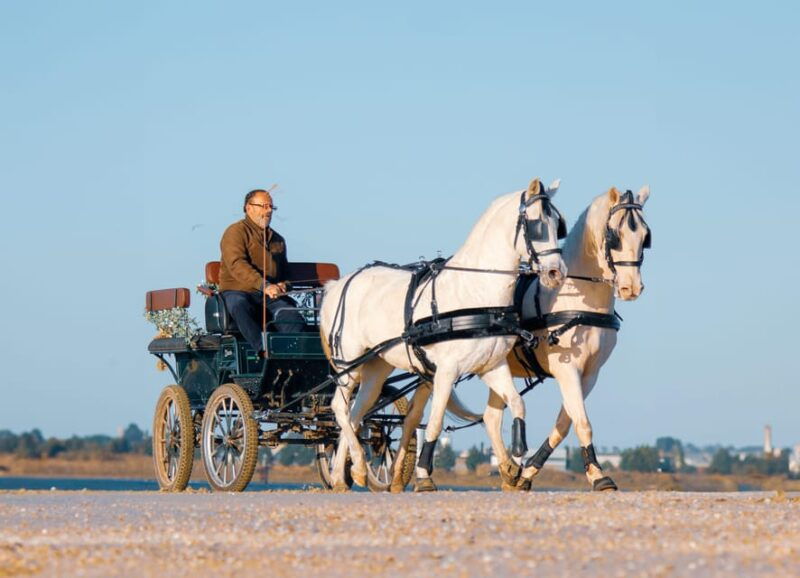 carriage-ride-on-the-beach-rosario-beach