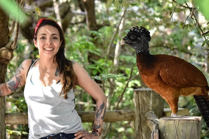 cartagena-private-aviary-tour
