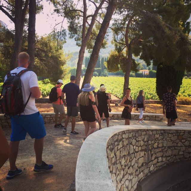 cassis-wine-tour-sea-cliffs-and-vineyards