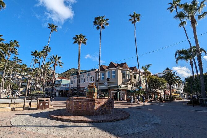 catalina-scavenger-hunt-walking-tour-and-game