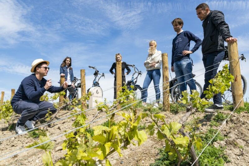champagne-e-bike-champagne-day-tour-with-tastings-and-lunch