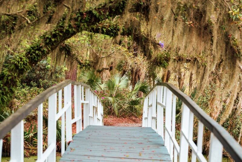 charleston-magnolia-plantation-entry-tour-with-transport