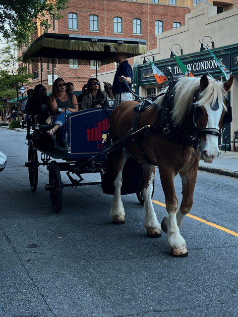 charleston-sc-private-evening-horse-carriage-tour
