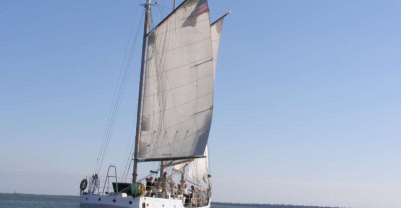 charleston-schooner-sailing-harbor-tour-dolphin-watch