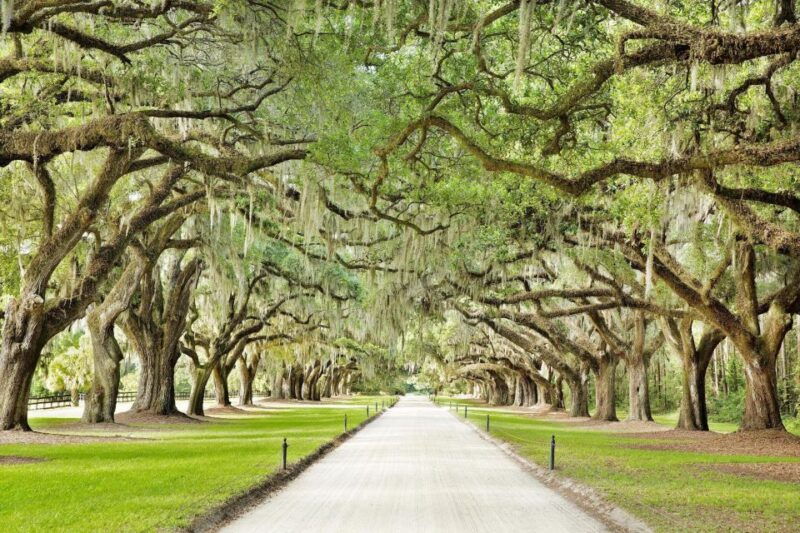 charleston-tour-pass-with-40-attractions