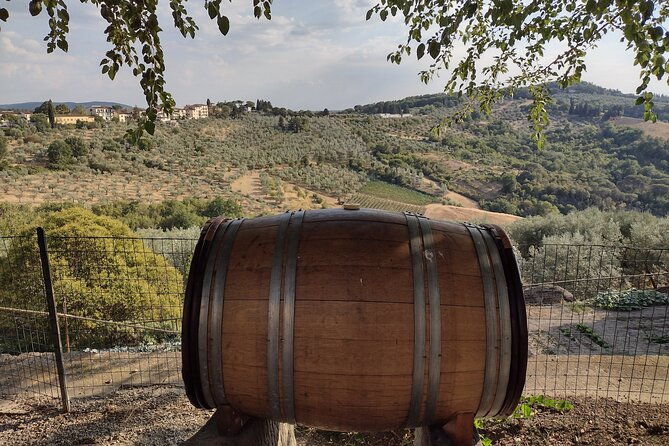 chianti-eno-excursion-through-the-vineyards