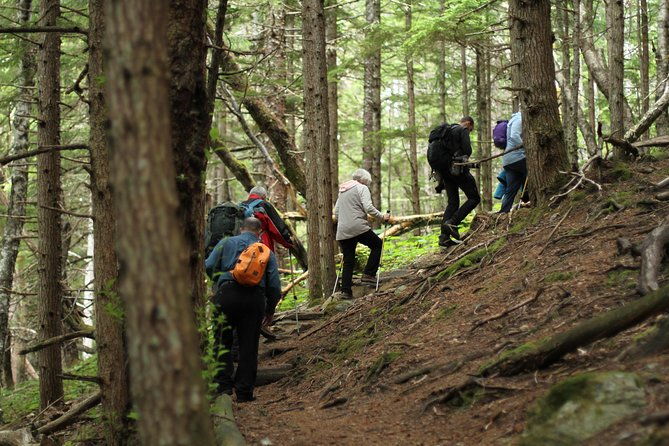 chilkat-inlet-coastal-hike-in-haines