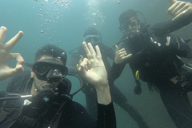 cig-discovery-diving-tour