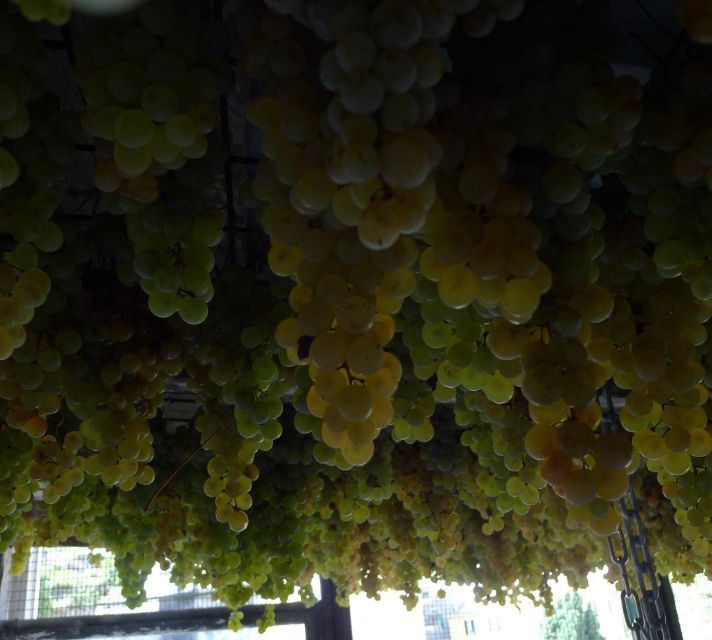 cinque-terre-wine-tour-and-tasting-with-the-somelier