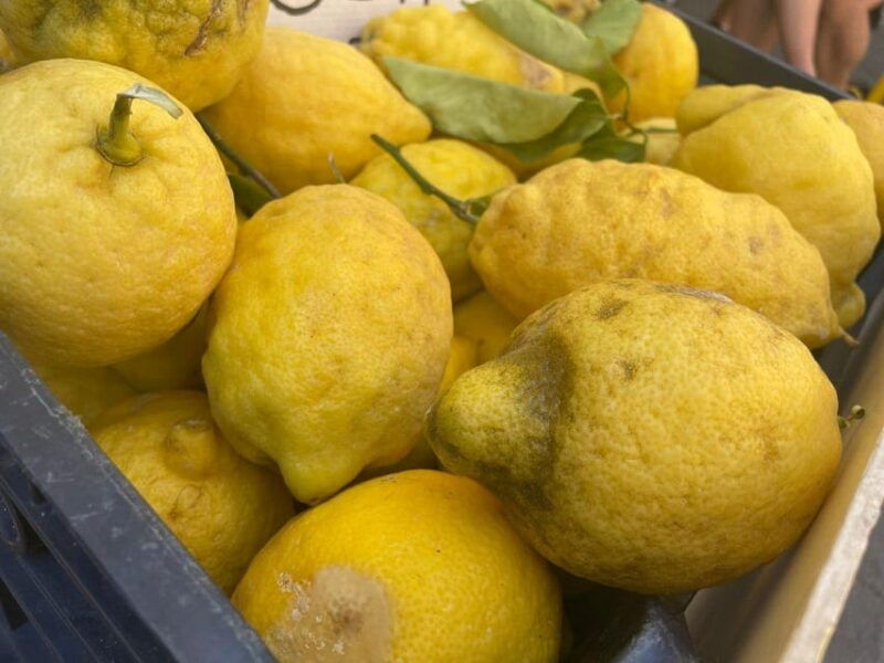 civitavecchia-market-tour-and-cooking-class-with-lunch